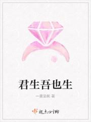 君生吾未生是什么的插曲