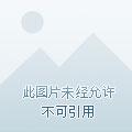 女主叫沈云